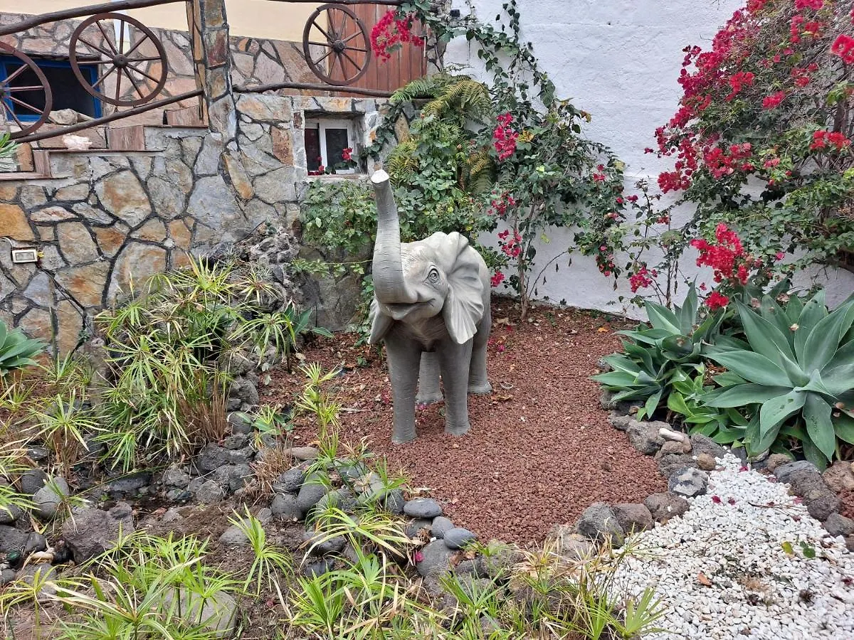 Tenerife Casa De Sancho Pansa Apartment With Terrace And Garden 600M2 And Ocean And Teide View Icod De Los Vinos