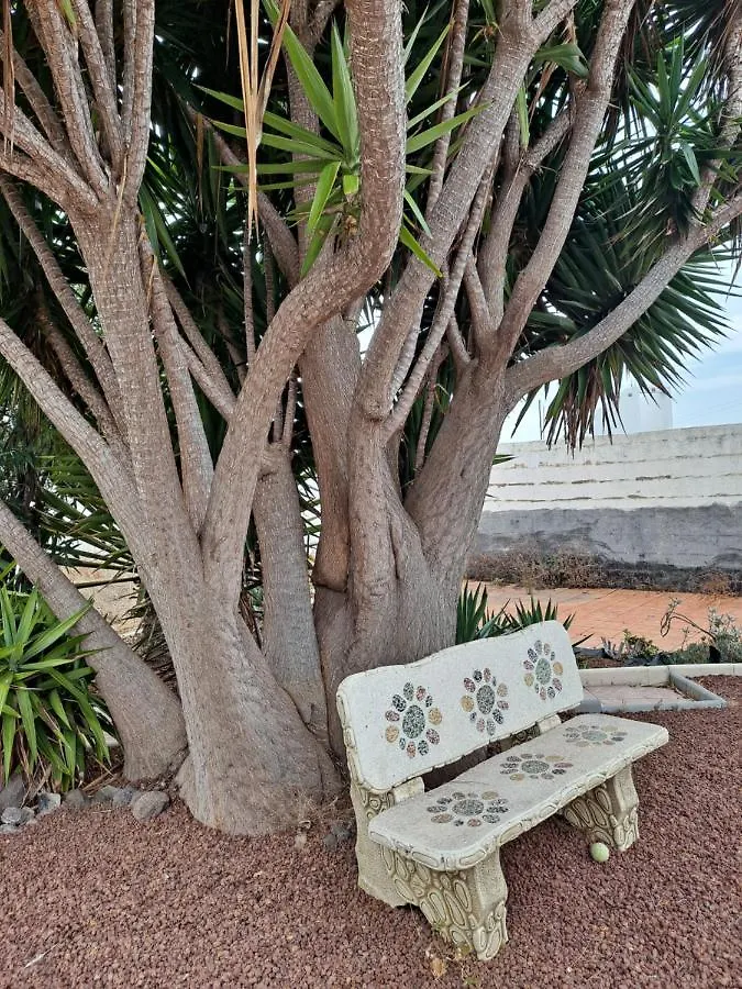 Tenerife Casa De Sancho Pansa Apartment With Terrace And Garden 600M2 And Ocean And Teide View إيكود ذي لوس فينوس