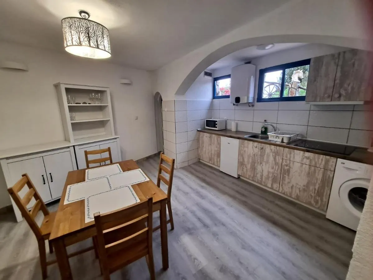 Tenerife Casa De Sancho Pansa Apartment With Terrace And Garden 600M2 And Ocean And Teide View إيكود ذي لوس فينوس